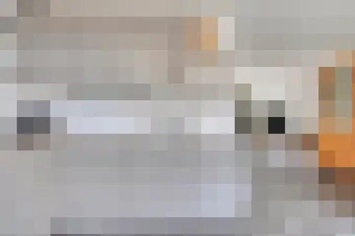 Spinnerwei 4 Valkenswaard thumbnail 17