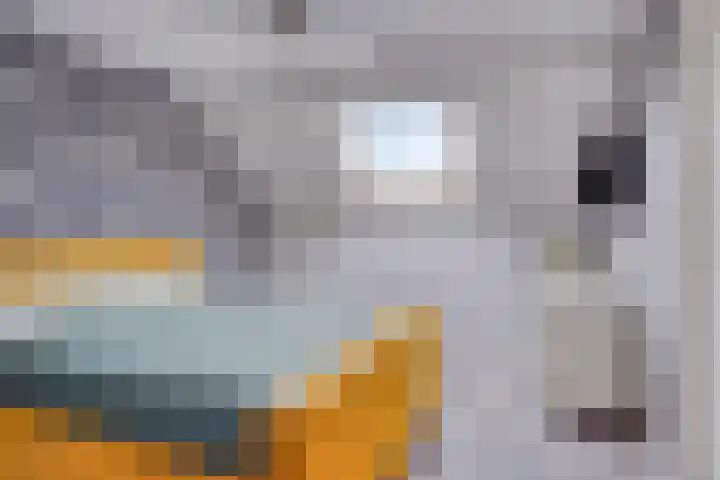 Spinnerwei 4 Valkenswaard thumbnail 31