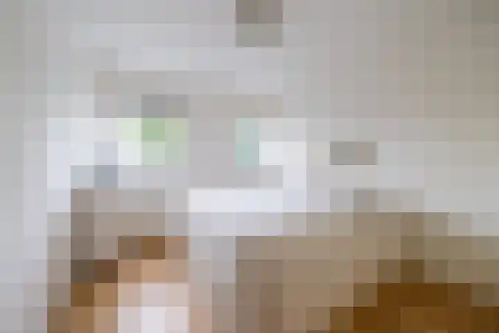 Spinnewiel 10 Laren thumbnail 18