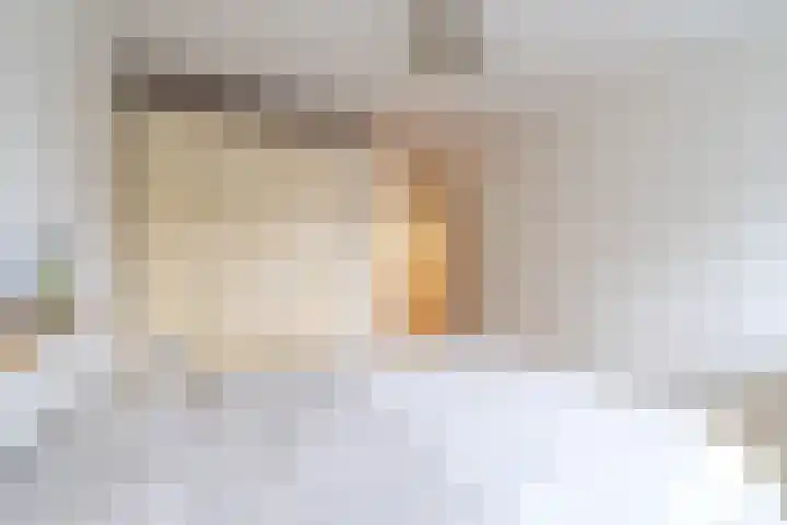 Spinnewiel 10 Laren thumbnail 19