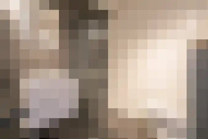 Spinnewiel 10 Laren thumbnail 21