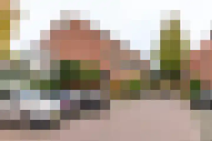 Spinnewiel 10 Laren thumbnail 22