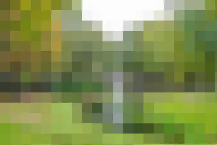 Spinnewiel 10 Laren thumbnail 27