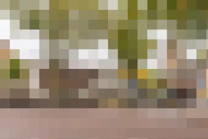 Spinnewiel 10 Laren thumbnail 28