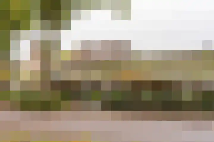 Spinnewiel 10 Laren thumbnail 29