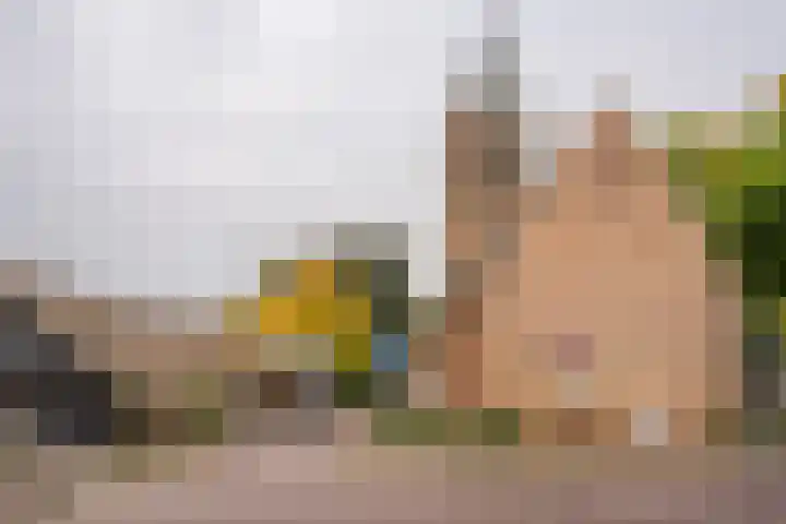 Spinnewiel 10 Laren thumbnail 30