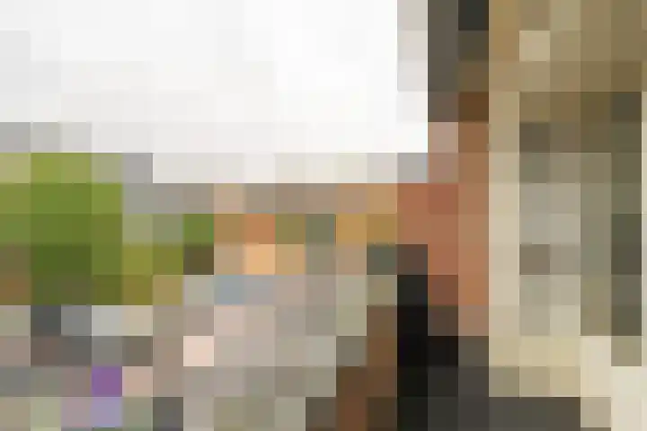 Spinnewiel 10 Laren thumbnail 4