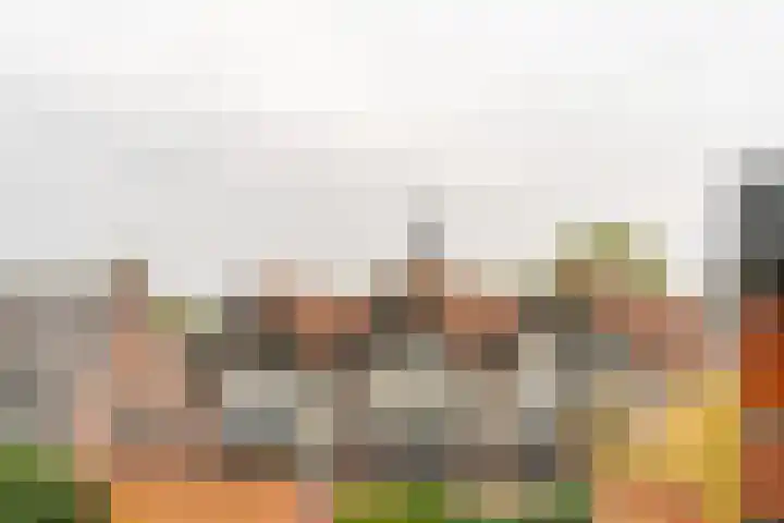 Spinnewiel 10 Laren thumbnail 5