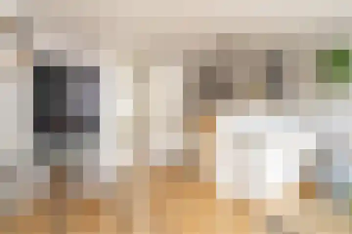 Spinnewiel 10 Laren thumbnail 8