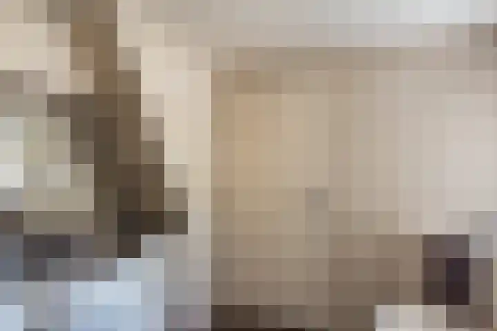 Spinolastraat 9 Groenlo thumbnail 21