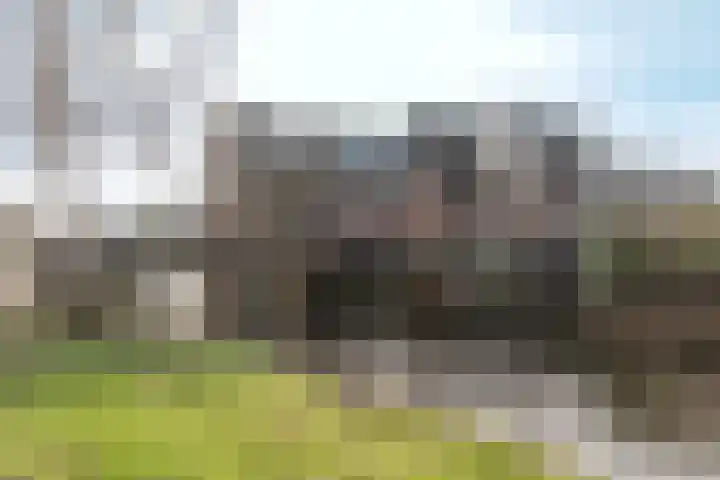 Spinradhof 20 Aalsmeer thumbnail 18