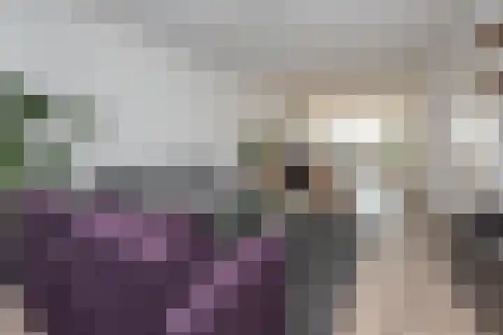 Spinradhof 20 Aalsmeer thumbnail 7