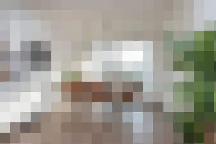 Spinradhof 20 Aalsmeer thumbnail 9