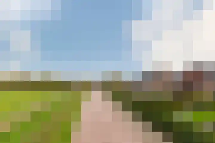 Spinrok 2 Zoelen thumbnail 10