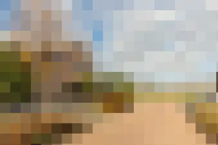 Spinrok 2 Zoelen thumbnail 11