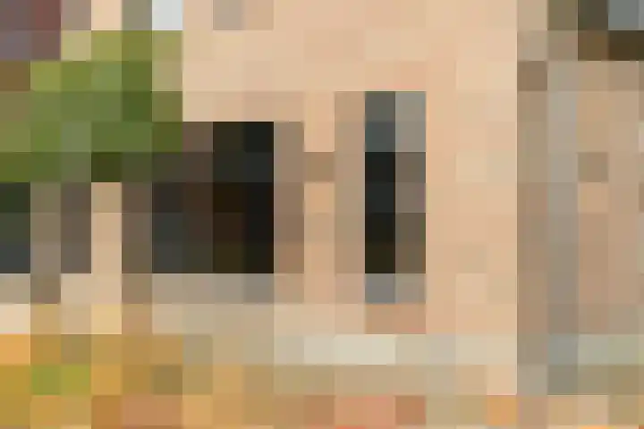 Spinrok 2 Zoelen thumbnail 13