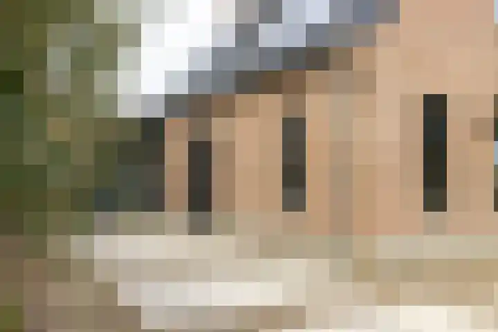 Spinrok 2 Zoelen thumbnail 14