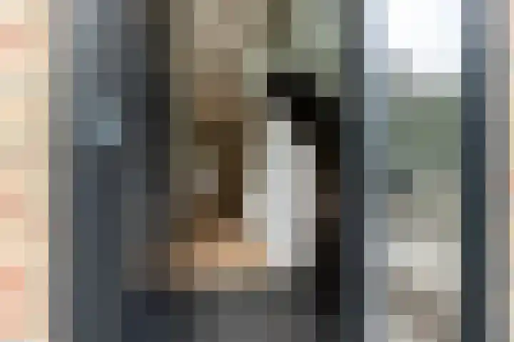 Spinrok 2 Zoelen thumbnail 15