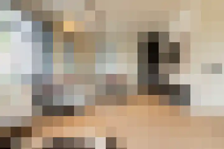 Spinrok 2 Zoelen thumbnail 20