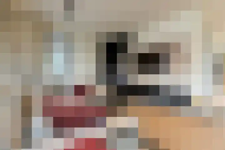 Spinrok 2 Zoelen thumbnail 21