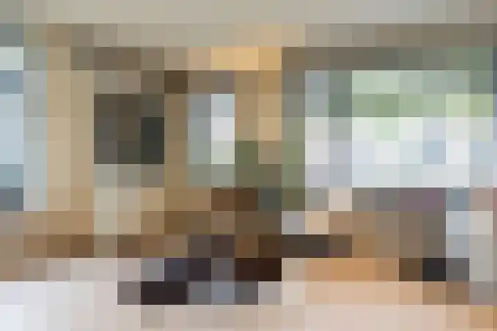 Spinrok 2 Zoelen thumbnail 23