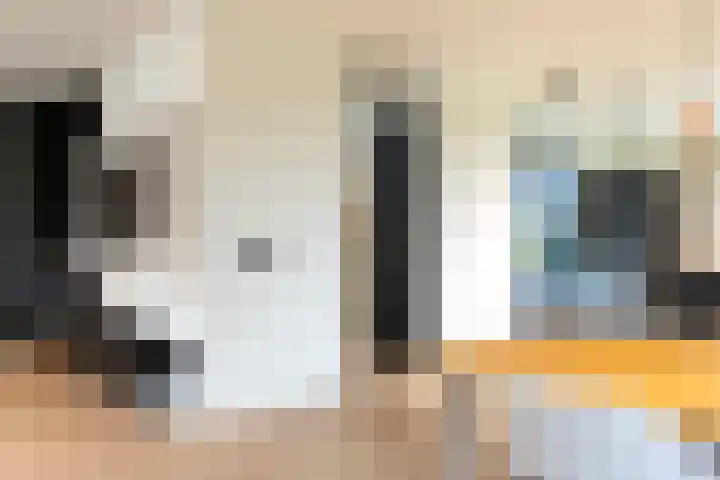 Spinrok 2 Zoelen thumbnail 24
