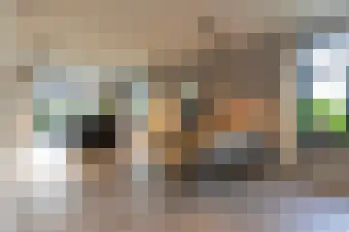 Spinrok 2 Zoelen thumbnail 26