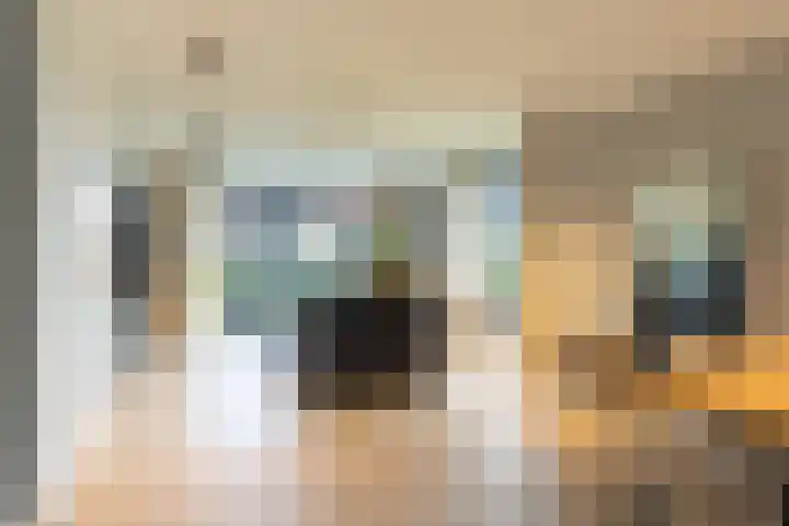 Spinrok 2 Zoelen thumbnail 28