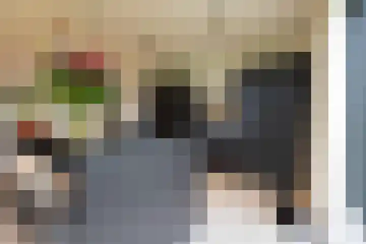 Spinrok 2 Zoelen thumbnail 30