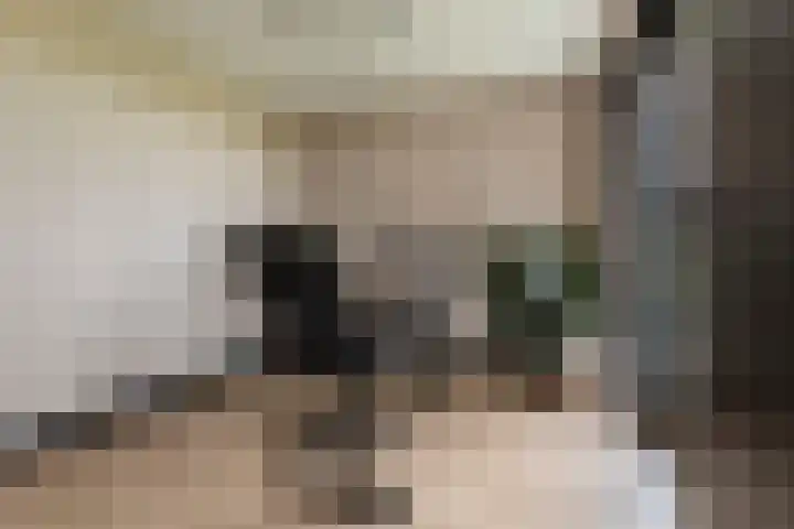 Spinrok 2 Zoelen thumbnail 38