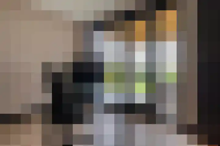 Spinrok 2 Zoelen thumbnail 39