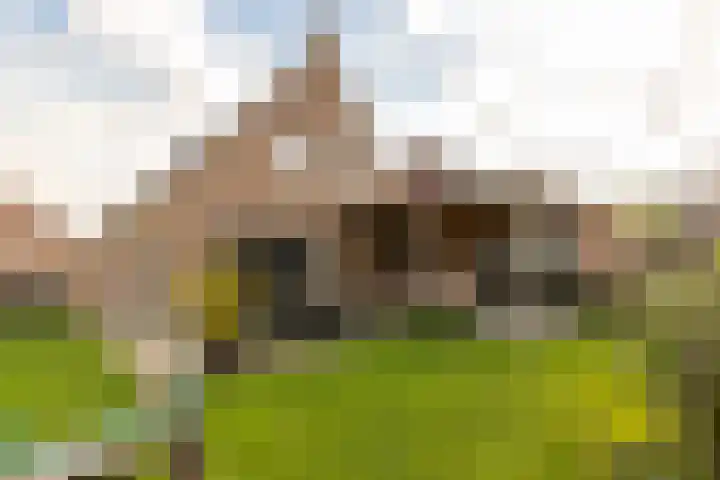 Spinrok 2 Zoelen thumbnail 41