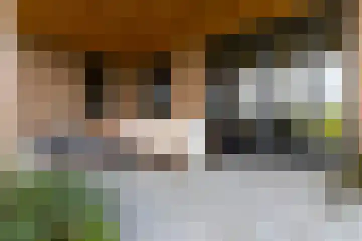 Spinrok 2 Zoelen thumbnail 43