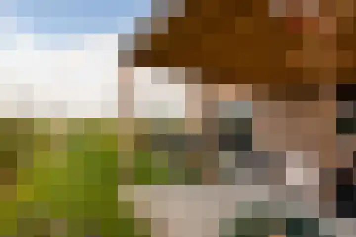 Spinrok 2 Zoelen thumbnail 44