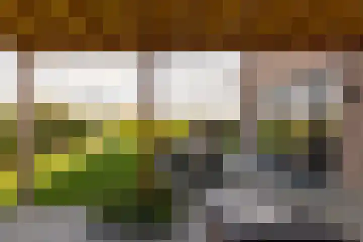 Spinrok 2 Zoelen thumbnail 45