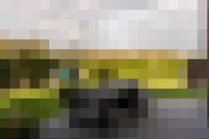 Spinrok 2 Zoelen thumbnail 46