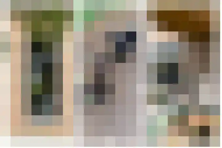 Spinrok 2 Zoelen thumbnail 47