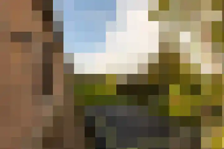 Spinrok 2 Zoelen thumbnail 48