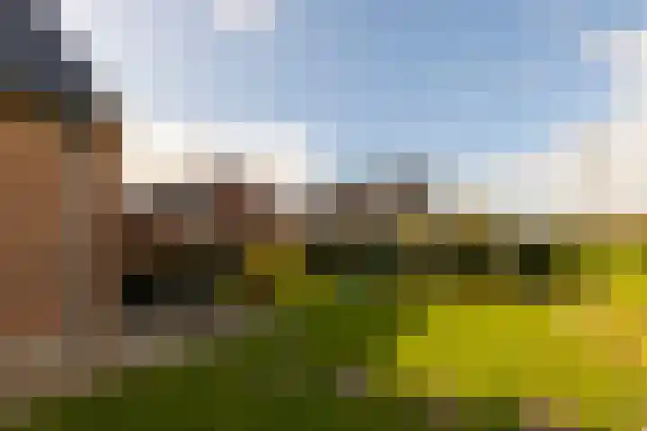Spinrok 2 Zoelen thumbnail 49