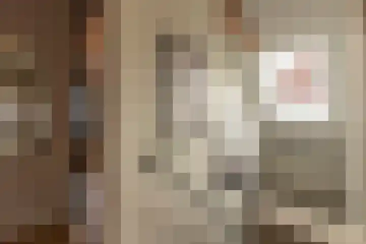 Spinrok 2 Zoelen thumbnail 51