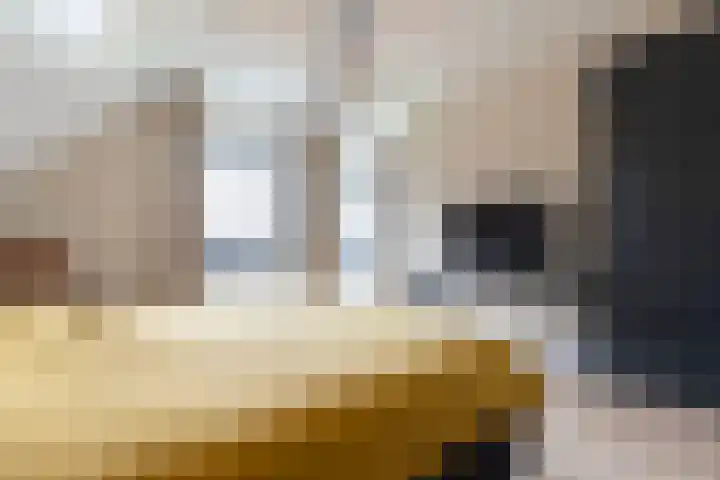 Spinrok 2 Zoelen thumbnail 53