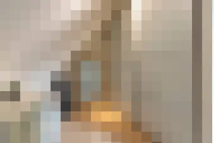 Spinrok 2 Zoelen thumbnail 54