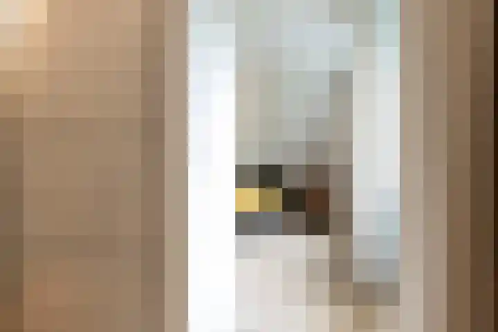 Spinrok 2 Zoelen thumbnail 55