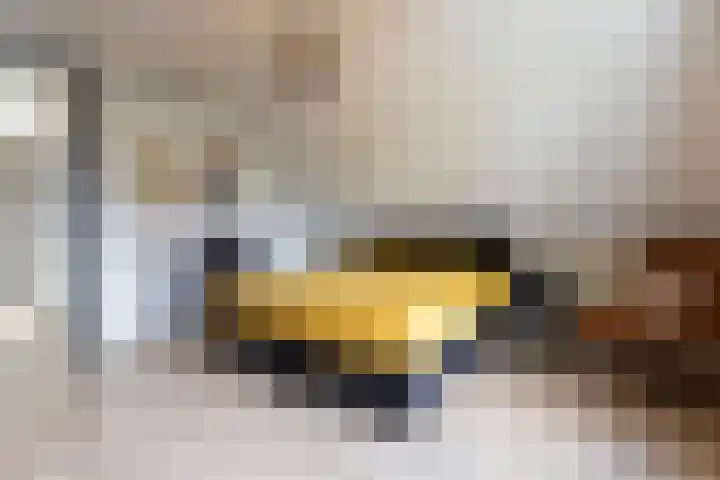 Spinrok 2 Zoelen thumbnail 56