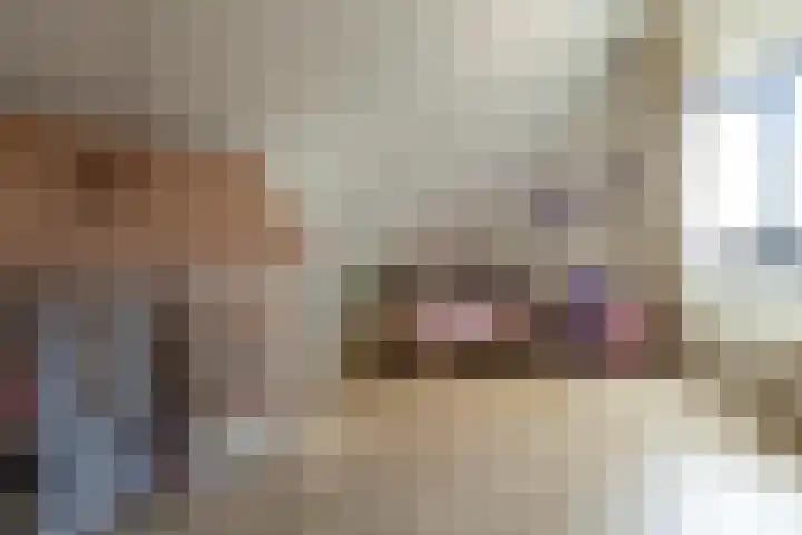 Spinrok 2 Zoelen thumbnail 57