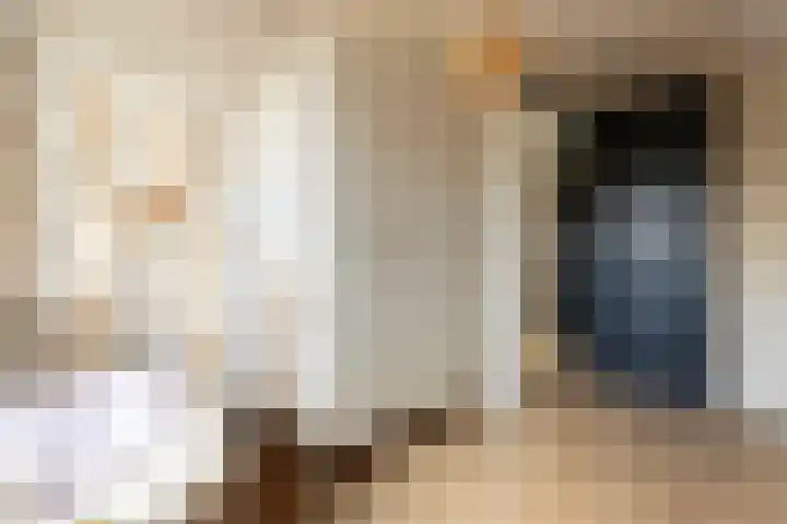 Spinrok 2 Zoelen thumbnail 59