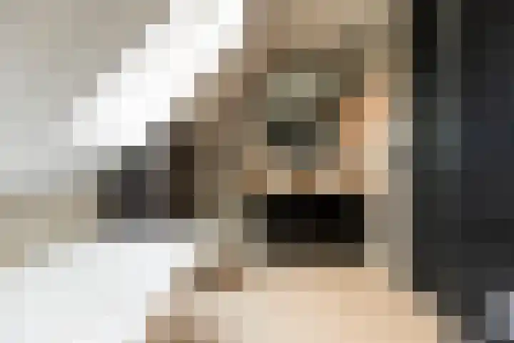 Spinrok 2 Zoelen thumbnail 63