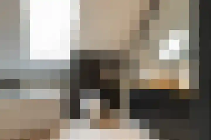 Spinrok 2 Zoelen thumbnail 64