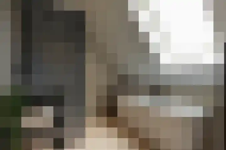 Spinrok 2 Zoelen thumbnail 65