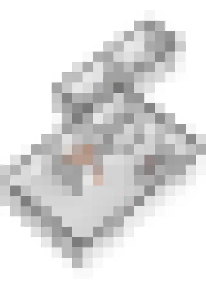 Spinrok 2 Zoelen thumbnail 69